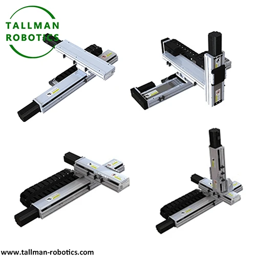 Multi Axis Linear Module